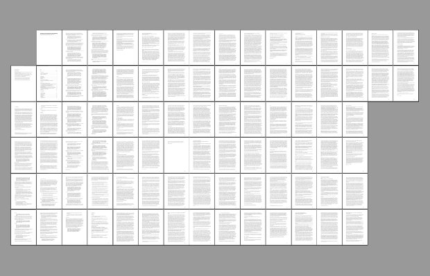 fellowship report 2010